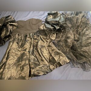 Party Dress and Petticoat